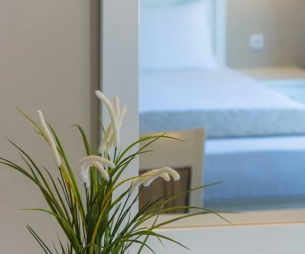 Ntinas Filoxenia Hotel&spa 4* Skala Potamia